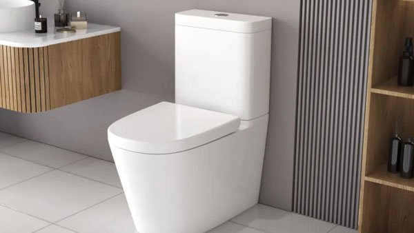 Fix Your Toilet Nightmare: Space, Time & Money Solutions NZ - NZHomeware