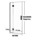 1000*1950mm Black Frameless Shower Door Only - NZHomeware