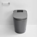 690x395x490mm One Piece Intelligent Electric Smart Toilet Automatic Instant Heating Matt Grey - NZHomeware