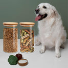 6PCs Airtight Glass Preserving Jars Lids Food Tea Coffee Bean Storage Containers - NZHomeware