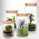 6PCs Airtight Glass Preserving Jars Lids Food Tea Coffee Bean Storage Containers - NZHomeware
