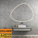 860x740mm Special LED Wall Mirror with Motion Sensor Auto On Demister Touch Switch 3 Colours Lighting on 20mm Rim - NZHomeware