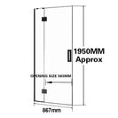 900*1950mm Black Frameless Shower Door Only - NZHomeware