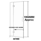 900*1950mm Chrome Frameless Shower Door Only - NZHomeware