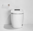 Integrated Smart Toilet with Instant Heating Auto Flush Concealed Water Tank
