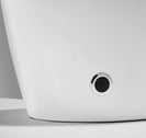 Integrated Smart Toilet with Instant Heating Auto Flush Concealed Water Tank