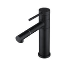 Bathroom Matte Black Basin Mixer Tap Swivel Nozzle Faucet Stainless Steel - NZHomeware