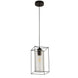 Black frame with clear glass cylinder shape pendant light - NZHomeware
