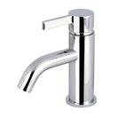 Englefield Studio Pin Gooseneck Basin Mixer Polished chrome - NZHomeware