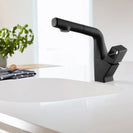 Matte Black 360° Swivel Pull - out Spout Basin Mixer Tap - NZHomeware